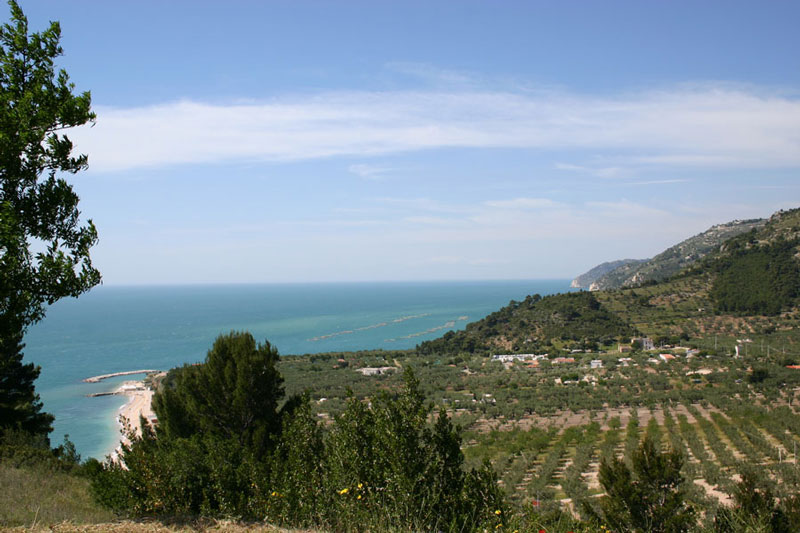 Piana degli ulivi