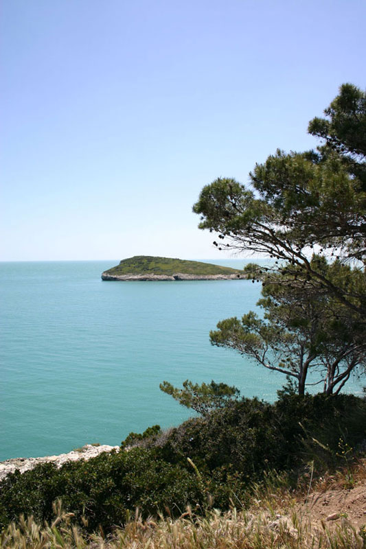 Vieste