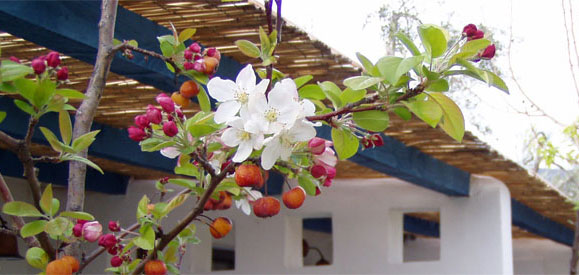 B&B Masseria Liberatore